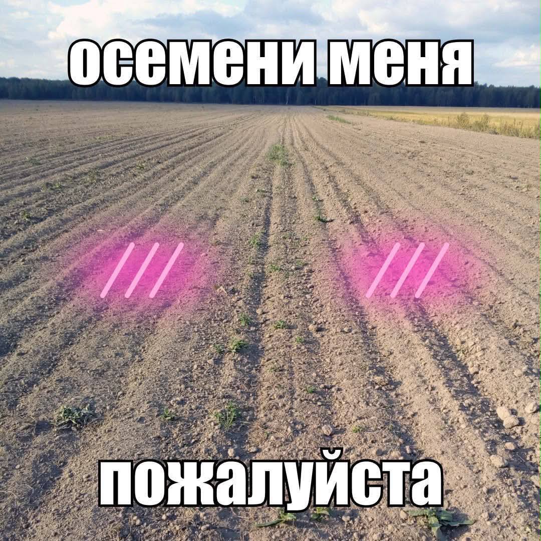 сем пожалуй