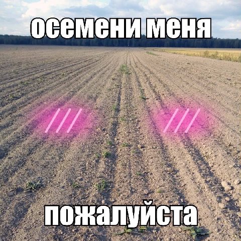 сем пожалуй