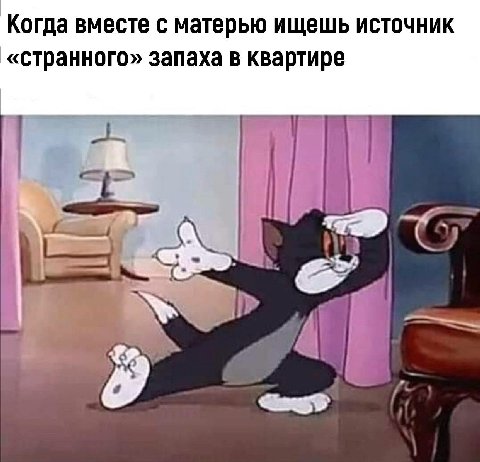 Когда вместе с матерью ищешь источник «странного» запаха в квартире