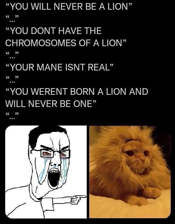 “YOU WILL NEVER А LION” “YOU DONT HAVE THE CHROMOSOMES OF A LION” “YOUR MANE ISNT REAL” “YOU WERENT BORN A LION AND WILL NEVER BE ONE”