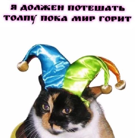 Я ДОЛЖЕН ПОТЕШАТЬ толпу ПОКА МИР ГОРИТ