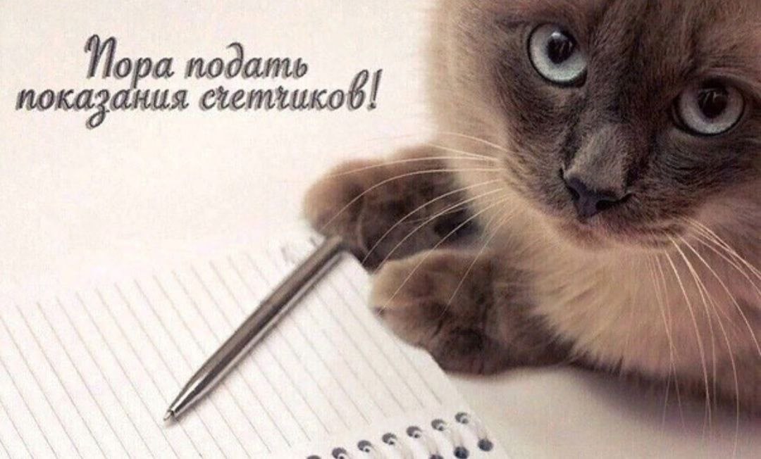 Пора подать показания 4 и