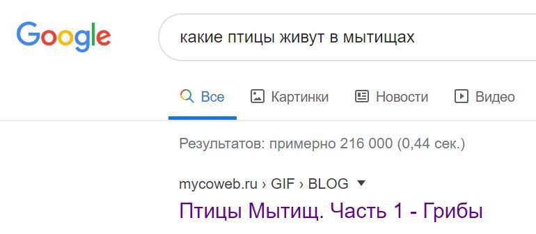 какие птицы живут в мытищах Google Все Картинки Новости Видео Результатов: примерно 216 000 (0,44 сек.) тусомер.ги GIF BLOG Птицы Мытищ. Часть 1 Грибы