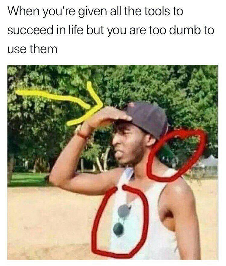 When you're given all the tools to succeed in life but you are too dumb to use