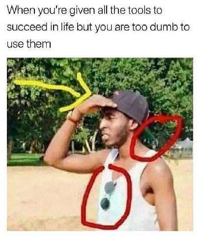 When you're given all the tools to succeed in life but you are too dumb to use