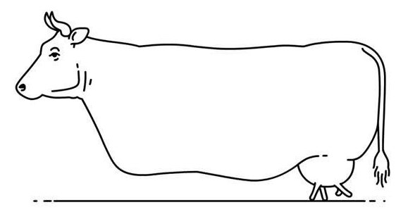 a 6 J) HU