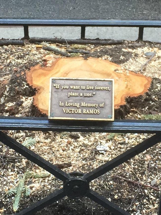 pat 7) a If you want to live forever, к. Plant a In Loving Memory of VICTOR RAMOS “a #4 4 we AIS a rhe