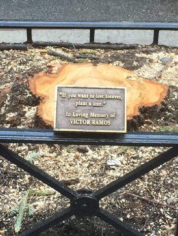 pat 7) a If you want to live forever, к. Plant a In Loving Memory of VICTOR RAMOS “a #4 4 we AIS a rhe