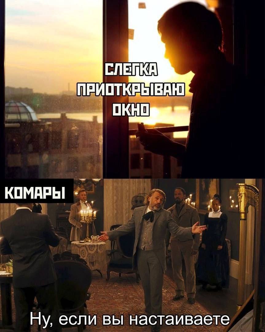 СЛЕПКА ПРИОТКРЫВАЮ КОМАРЫ Ну, если вы настаиваете