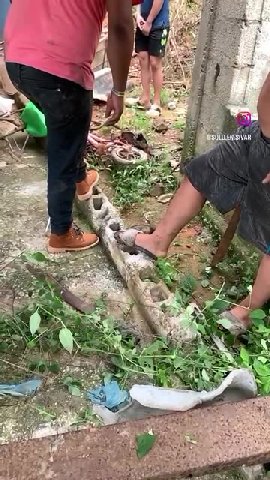 мем