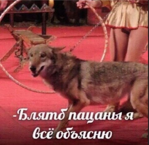 -Блято пацаны я объясню
