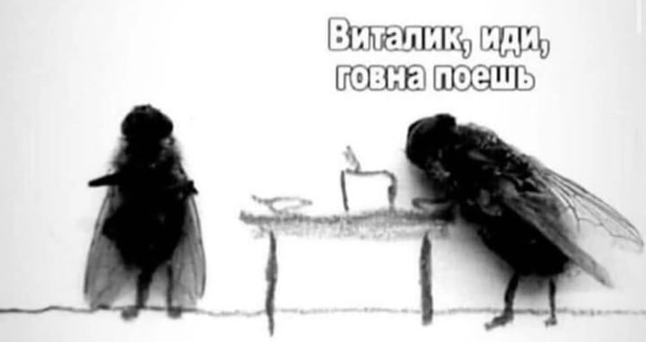 говнапоешь