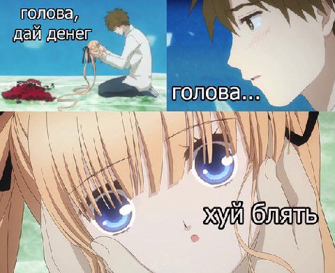 половВа, дай