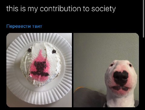 this is my contribution to society Перевести TBUT