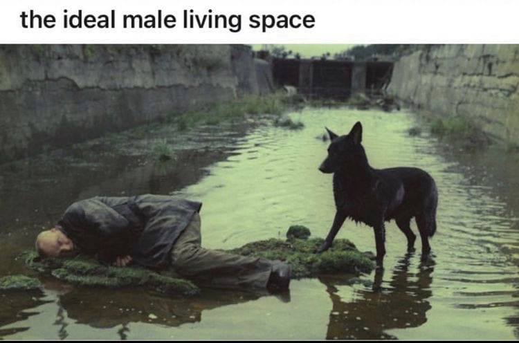 the ideal male living space