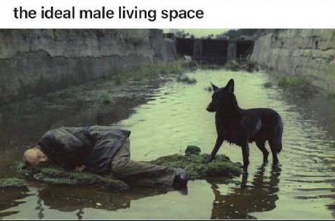 the ideal male living space