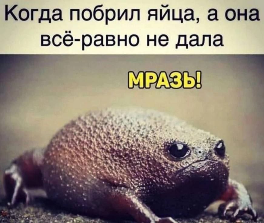Когда побрил яйца, а она все-равно не дала МРАЗЬ!