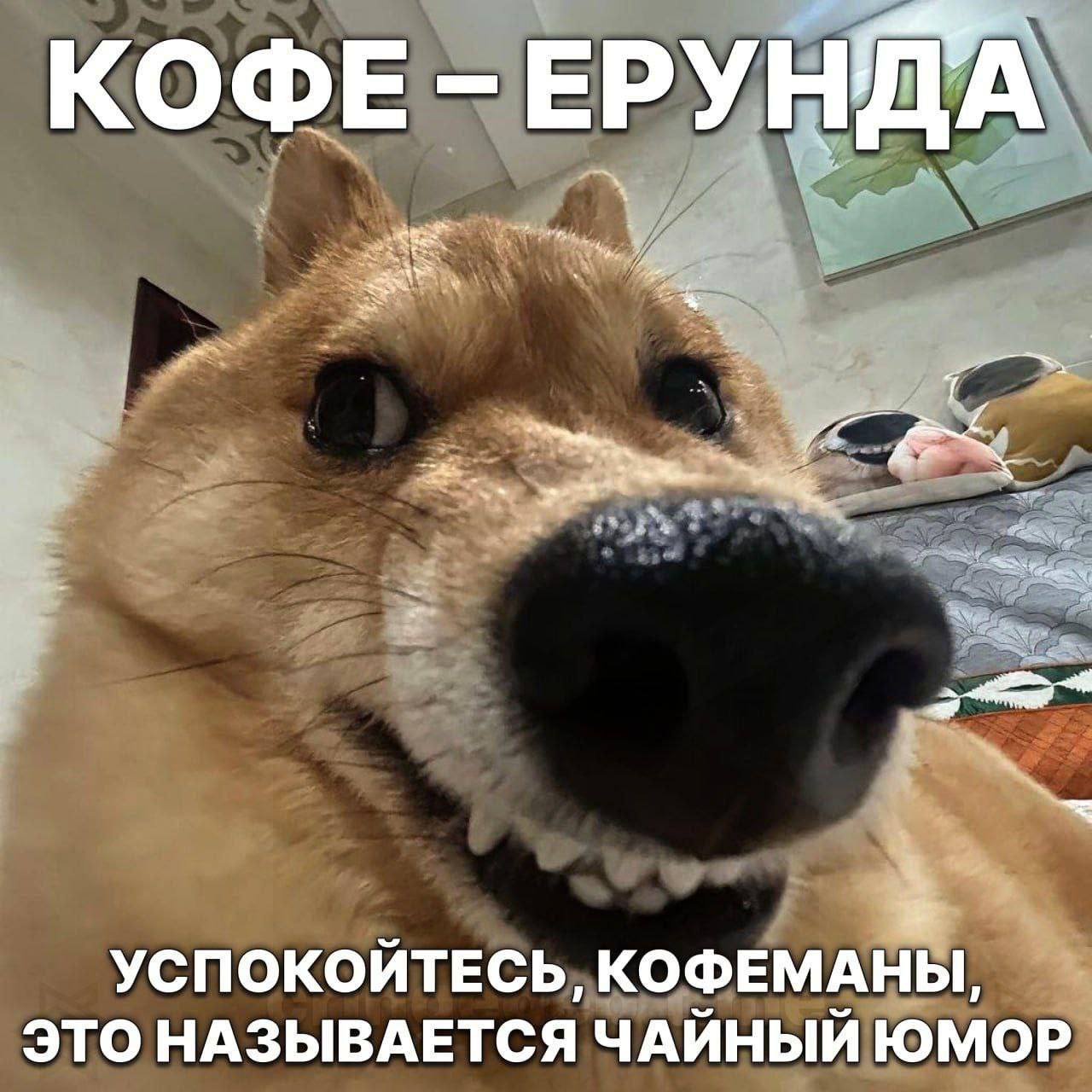 КОФЕ -ЕРУНДА УСПОКОЙТЕСЬ, КОФЕМАНЫ, ЭТО НАЗЫВАЕТСЯ ЧАЙНЫЙ ЮМОР