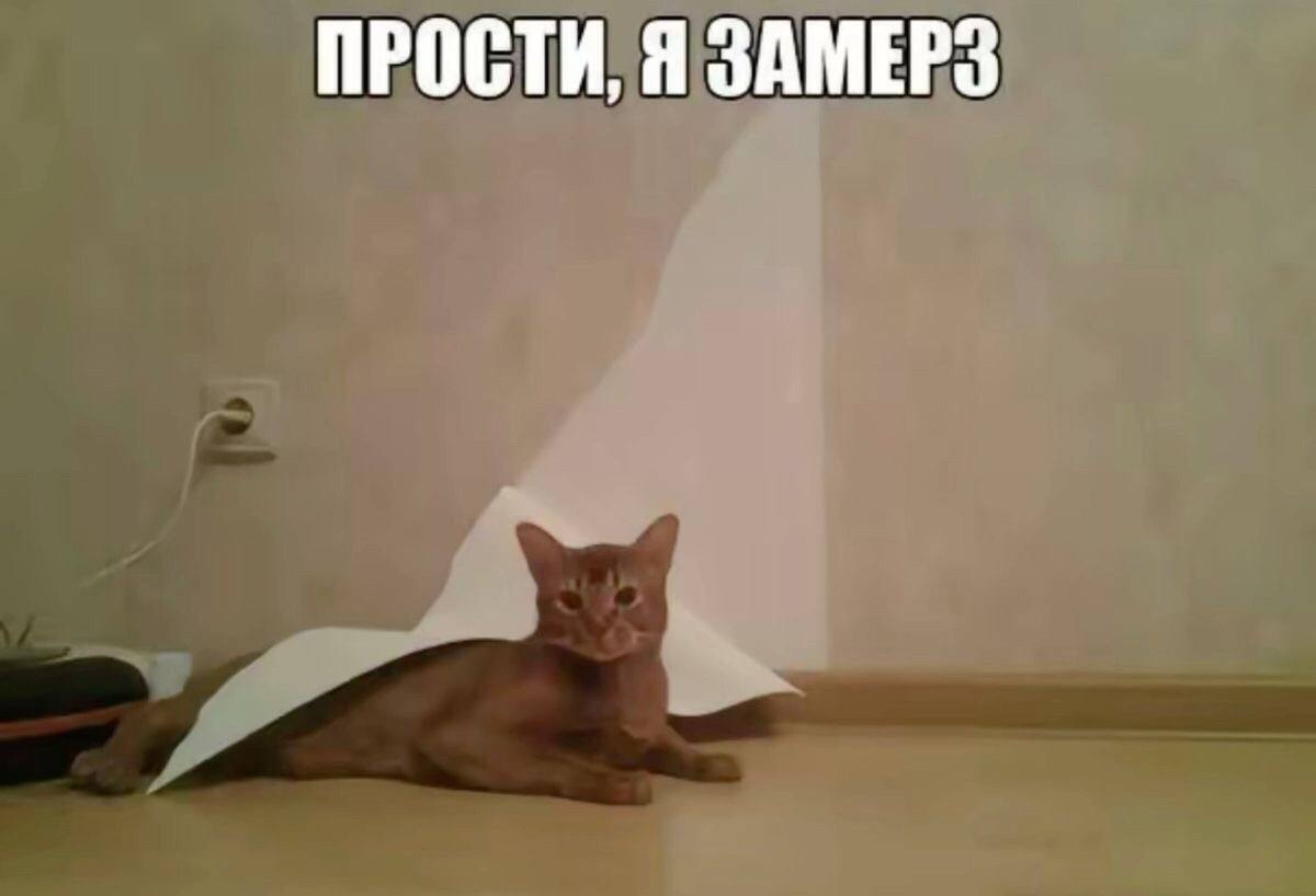 ПРОСТИ, Я ЗАМЕРЗ