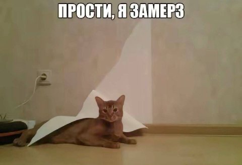 ПРОСТИ, Я ЗАМЕРЗ