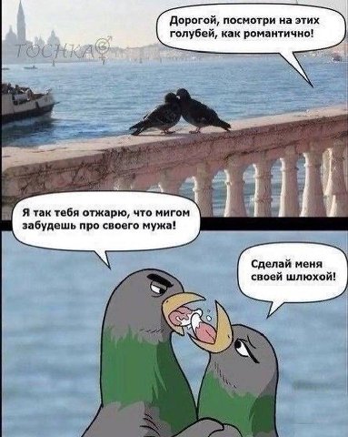 Дорогой, посмотри на этих голубей, как романтично! Я так тебя отжарю, что мигом забудешь про своего мужа! Сделай меня своей шлюхой!