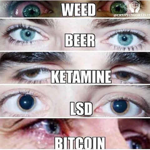2% WE