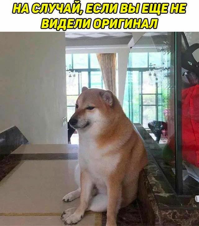 СЛУЧАЙ! ЕСЛИ