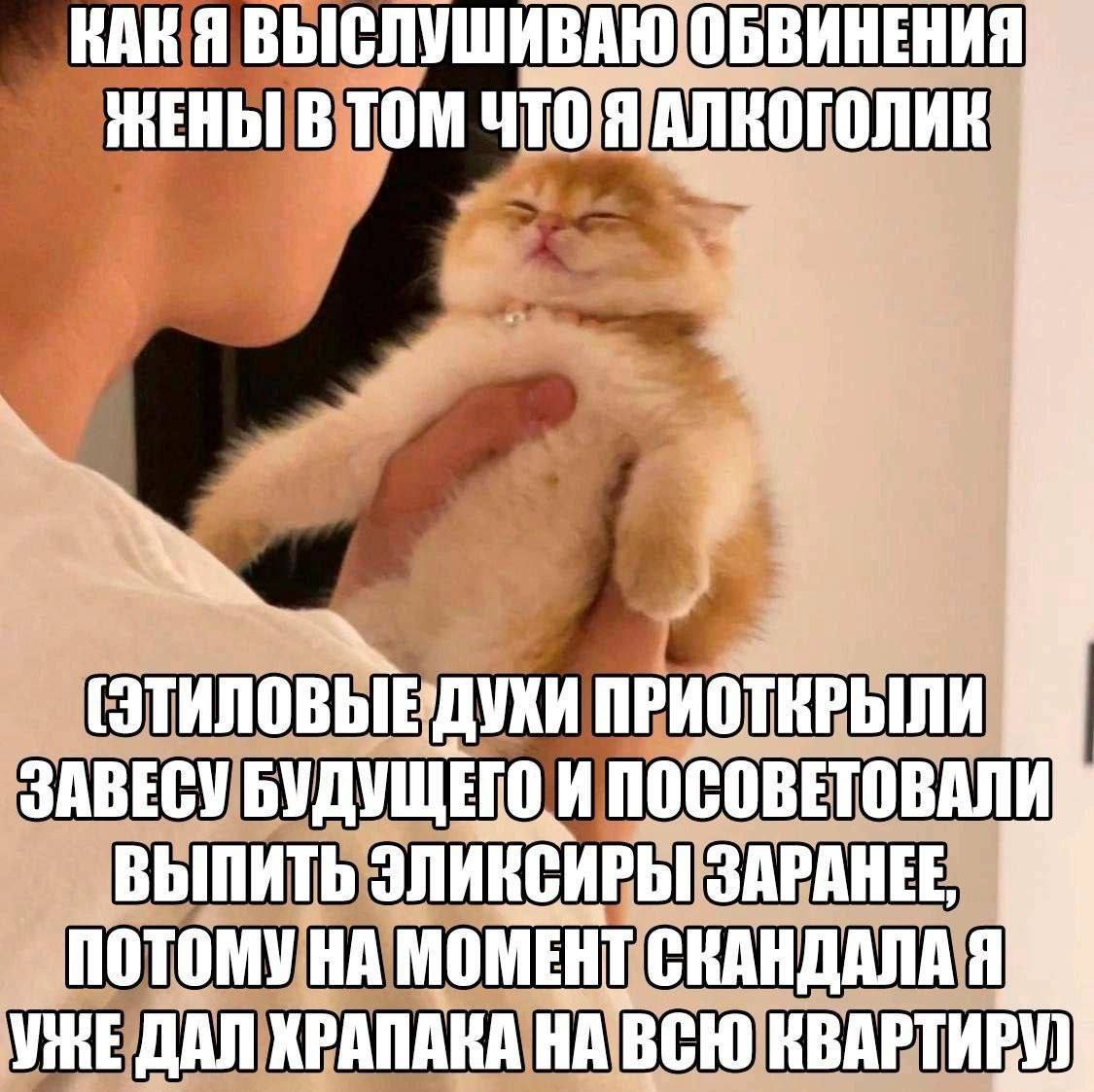 ЯВЫС БВИНЕНИ (ЭТИЛОВЫЕ VKH ЗАВЕСУ ВЫПИТЬ ИРЫ ПОТОМУНА