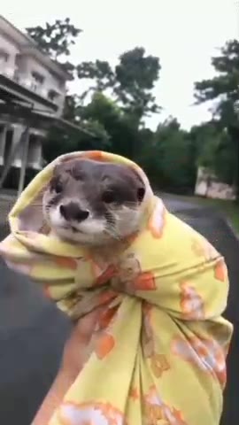 Мужики, не забывайте встряхивать и вытирать своего выдруна 🥰🥰