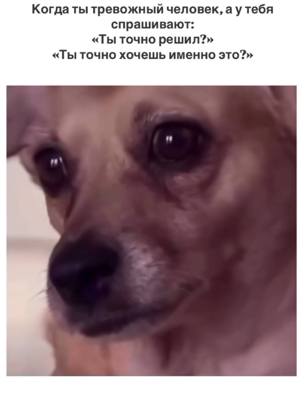Когда ты тревожный человек, а у тебя спрашивают: «Ты точно решил?» «Ты точно хочешь именно это?»
