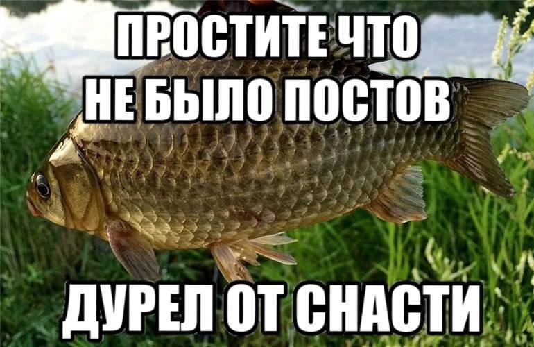 ПРОСТИТЕ БЫЛО постов ДУРЕЛ ОТ СНАСТИ