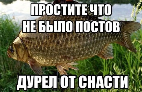 ПРОСТИТЕ БЫЛО постов ДУРЕЛ ОТ СНАСТИ