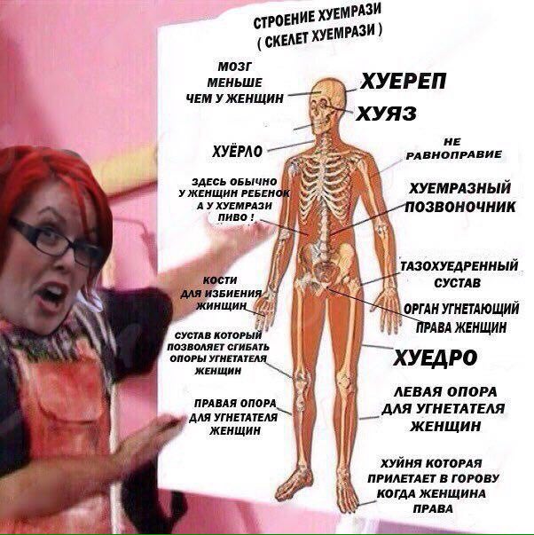 ХУЕМРАЗИ СТРОЕНИ СКЕЛЕТ мозг МЕНЬШЕ ХУЕРЕП ЧЕМ У ЖЕНЩИН ХУЯЗ НЕ ХУЕРЛО РАВНОПРАВИЕ ЗДЕСЬ ОБЫЧНО У ЖЕНЩИН РЕБЕНОЙ ХУЕМРАЗНЫЙ А УХУЕМРАЗИ ТАЗОХУЕДРЕННЫЙ СУСТАВ HLH ОРГАН УГНЕТАЮЩИЙ СУСТАВ АВА ЖЕНЩИН ПОЗ
