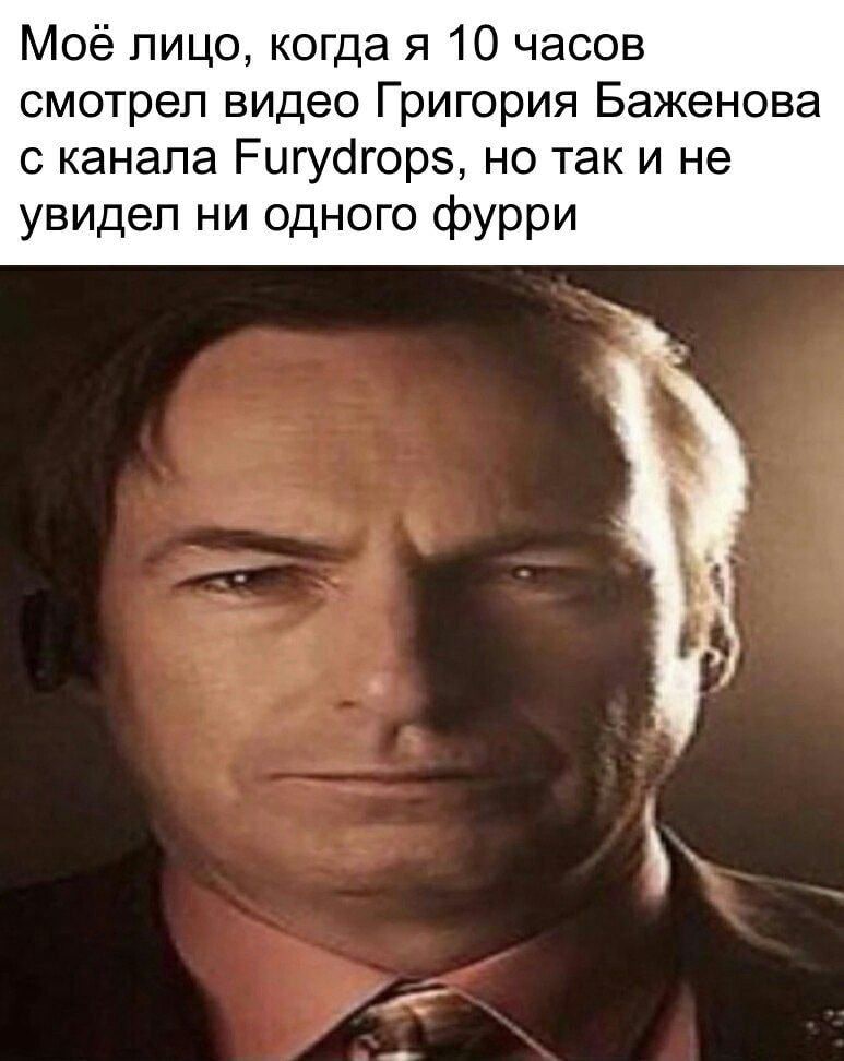 Мое лицо, когда я 10 часов смотрел видео Григория Баженова с канала Furydrops, но так и не увидел ни одного фурри