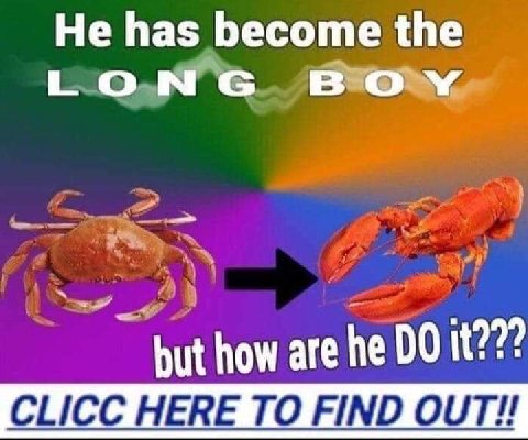 Не has become the LONG вом but how are he it??? CLICC HERE TO FIND OUT!!
