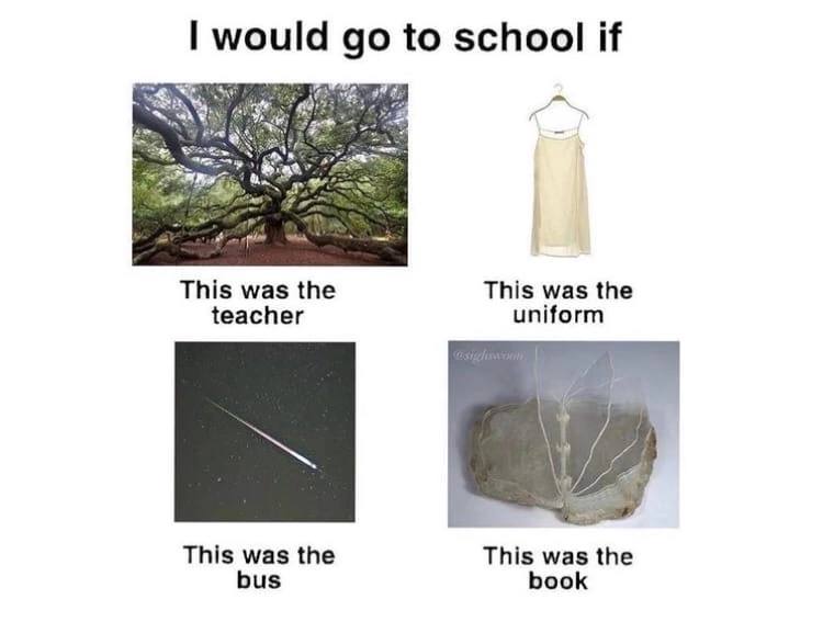 would to school if This was the This was the teacher uniform у This was the This was the bus book