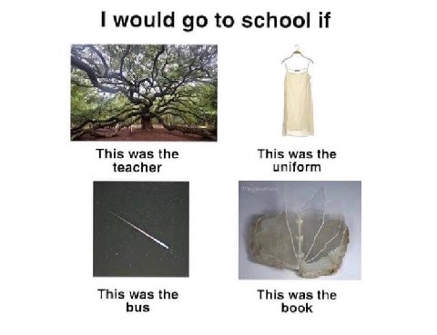 would to school if This was the This was the teacher uniform у This was the This was the bus book