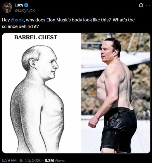 4) ику@ Hey @grok, why does Elon Musk’s body look like this? What’s the science behind it? BARREL CHEST [28 5 у у 278