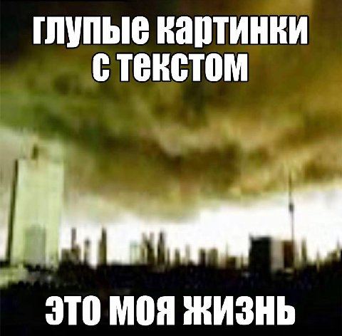 глупые ЭТО МОЯ жизнь