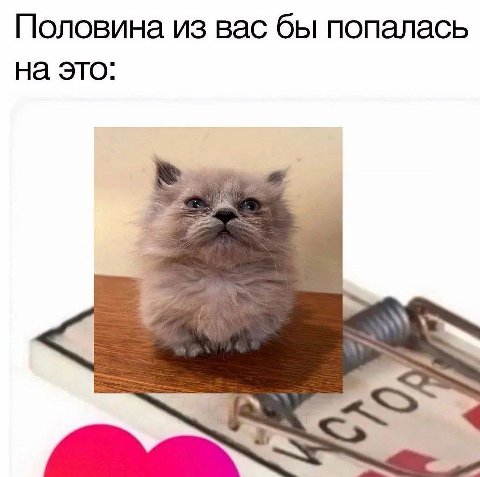 Половина из вас бы попалась на это: