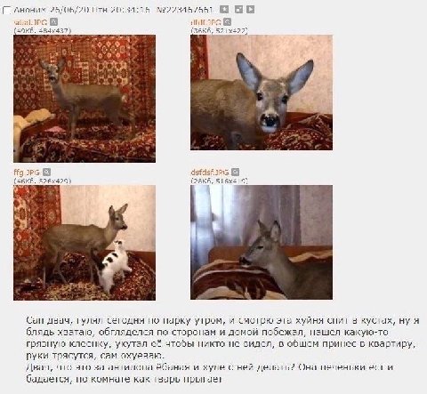 [С Аноним 26/06/20 Птн 20:34:16 №223467661 $4 9 к Can двач, гулял сегодня по парку утром, и смотрю эта хуйня спит в кустах, ну я блядь хватаю, обгляделся по сторонам и домой побежал, нашел какую-то гр