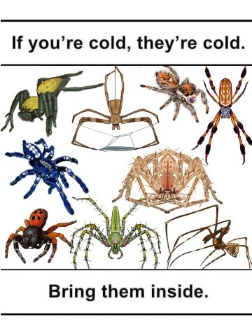 you’re cold, they’re cold. у a Bring them inside.
