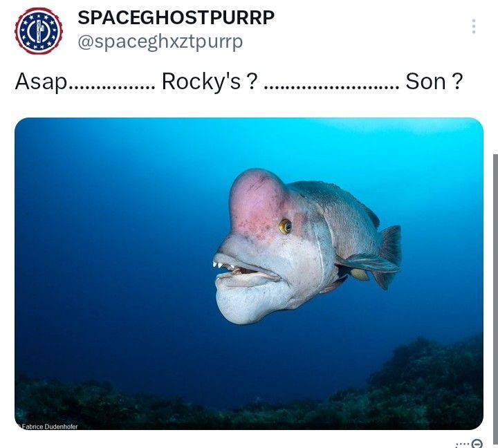 SPACEGHOSTPURRP @spaceghxztpurrp Asap Rocky Son а
