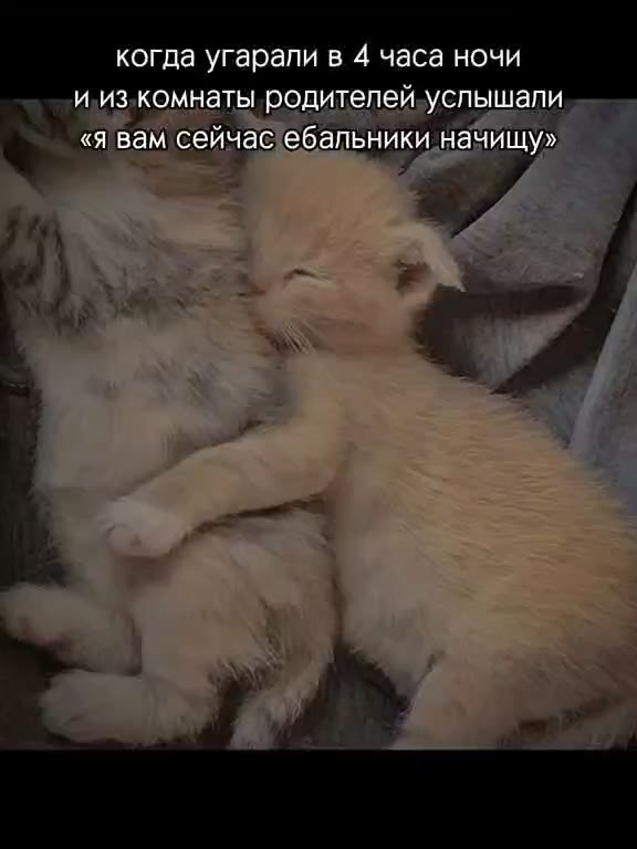 Анонимный пользователь отправил положительный отзыв о качестве нашего контента
Поэтому объявляем конкурс
Мать того самого анонимного пользователя будет разыграна между подписчиками