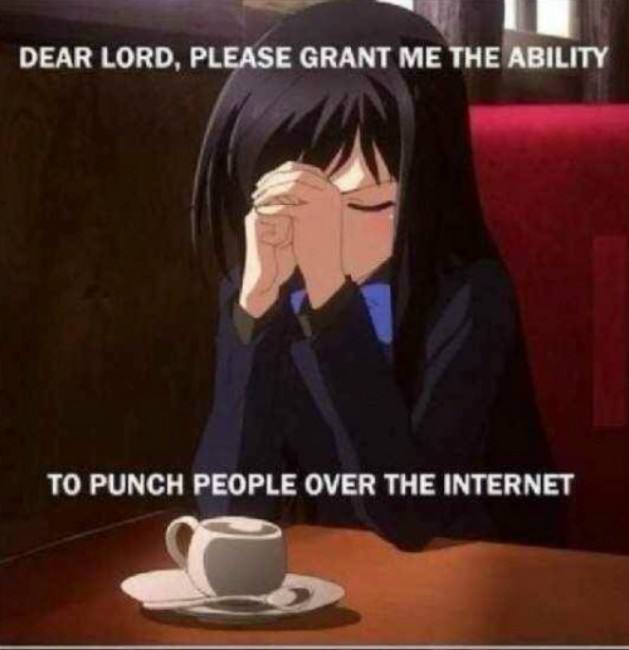 PLEASE GRANT ME DEAR LORD, PLEASE GRANT ME THE ABILITY ТО PUNCH PEOPLE OVER THE INTERNET