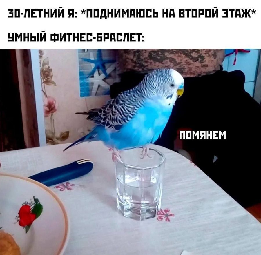 30-ЛЕТНИЙ Я: *ПОДНИМАЮСЬ НА ВТОРОЙ ЭТАЖ* УМНЫЙ ФИТНЕС-БРАСЛЕТ: ПОМЯНЕМ