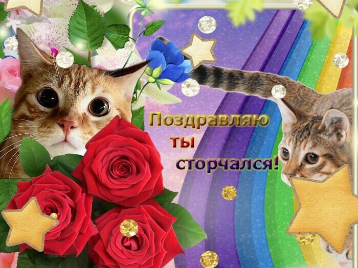 4 24 2% 4 О очался! я 4.