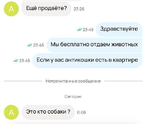 23:28 Ещё продаёте? 23:45 Здравствуйте 23:45 Мы бесплатно отдаем животных 23:45 Если увас антикошки есть в квартире Непрочитанные сообщения Сегодня Это кто собаки 0:06