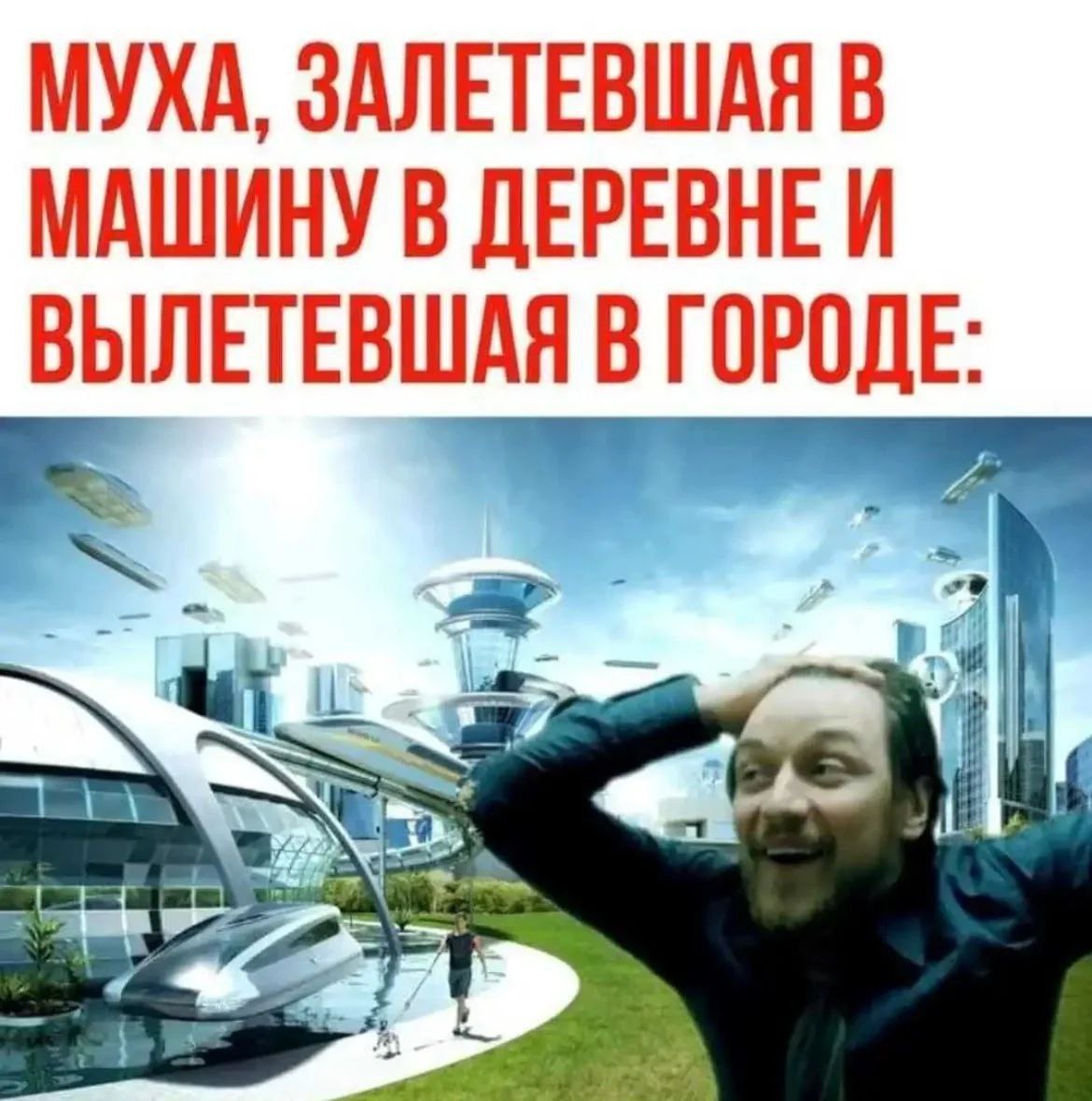 МУХА, ЗАЛЕТЕВШАЯ В МАШИНУ В ВЫЛЕТЕВШАЯ В ГОРОДЕ: к