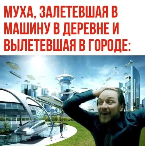 МУХА, ЗАЛЕТЕВШАЯ В МАШИНУ В ВЫЛЕТЕВШАЯ В ГОРОДЕ: к